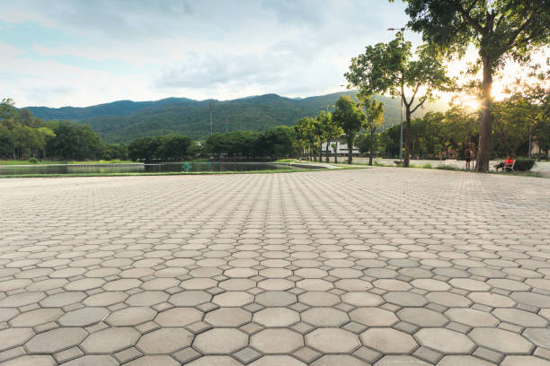 Driveway Pavers for Homes in Glenn Heights, TX
